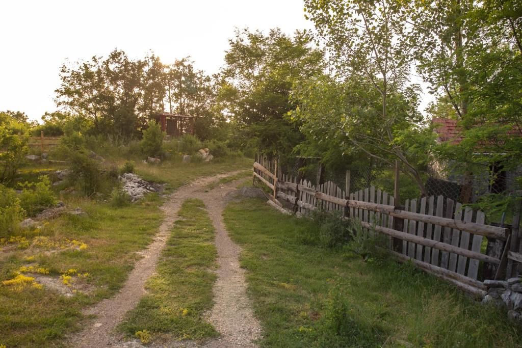 Дома для отпуска Brankov do Никшич-21