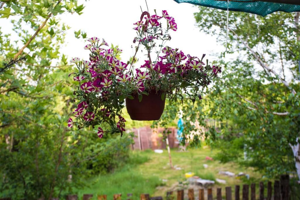 Дома для отпуска Brankov do Никшич-22