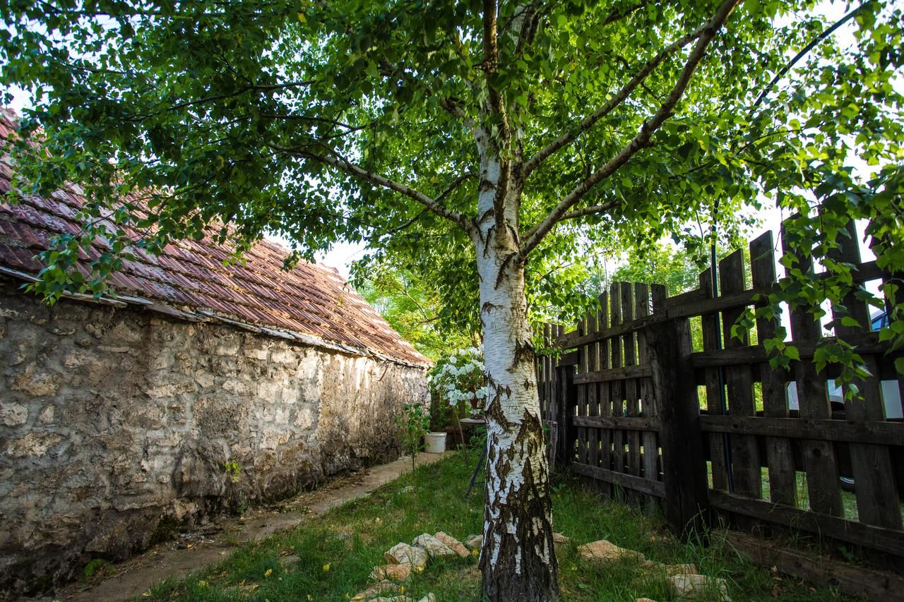 Дома для отпуска Brankov do Никшич-12